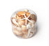small premium cream mixed seashell pack